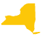 New York state icon